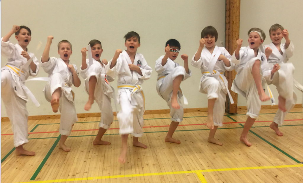 Bushido Karate Oulu - Bushido Karatekoulu Oulu